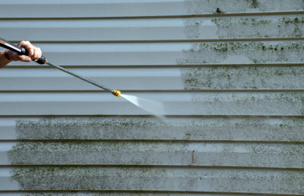 Best Attic Mold Removal  in North Weeki Wachee, FL