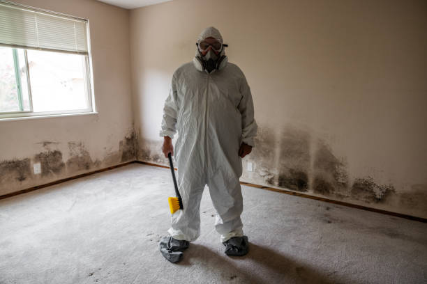 Best Mold Damage Repair  in North Weeki Wachee, FL